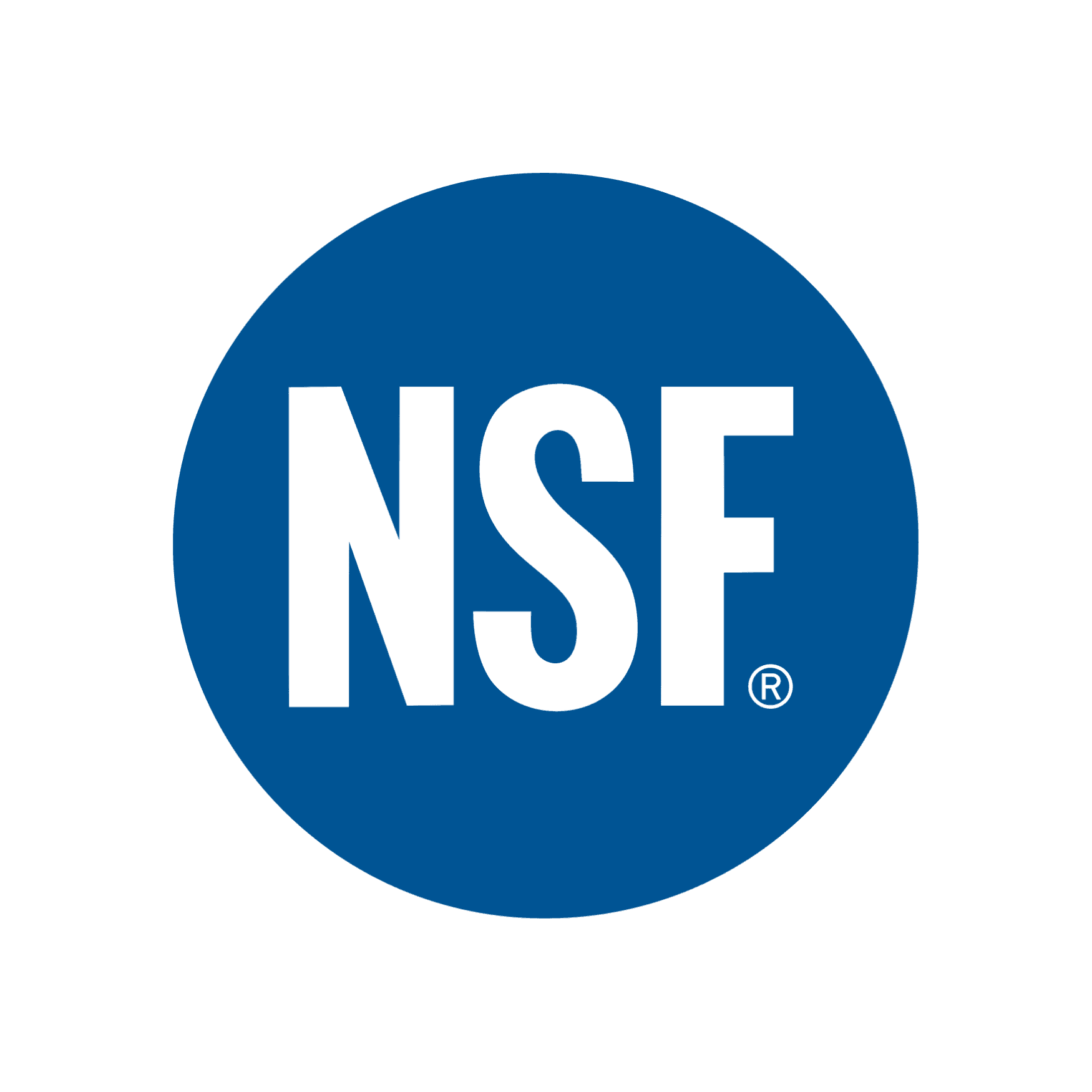 NSF Google